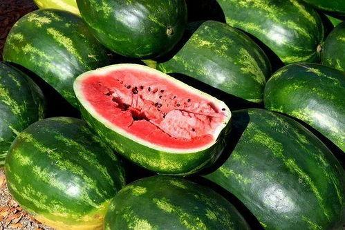 牛逼吃瓜视频大全,牛逼吃瓜视频大全,笑料百出,精彩纷呈!