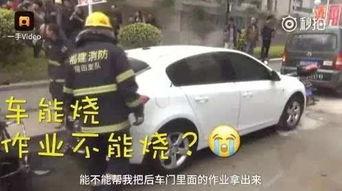 救火现场吃瓜视频播放,吃瓜群众直播见证救火英雄风采